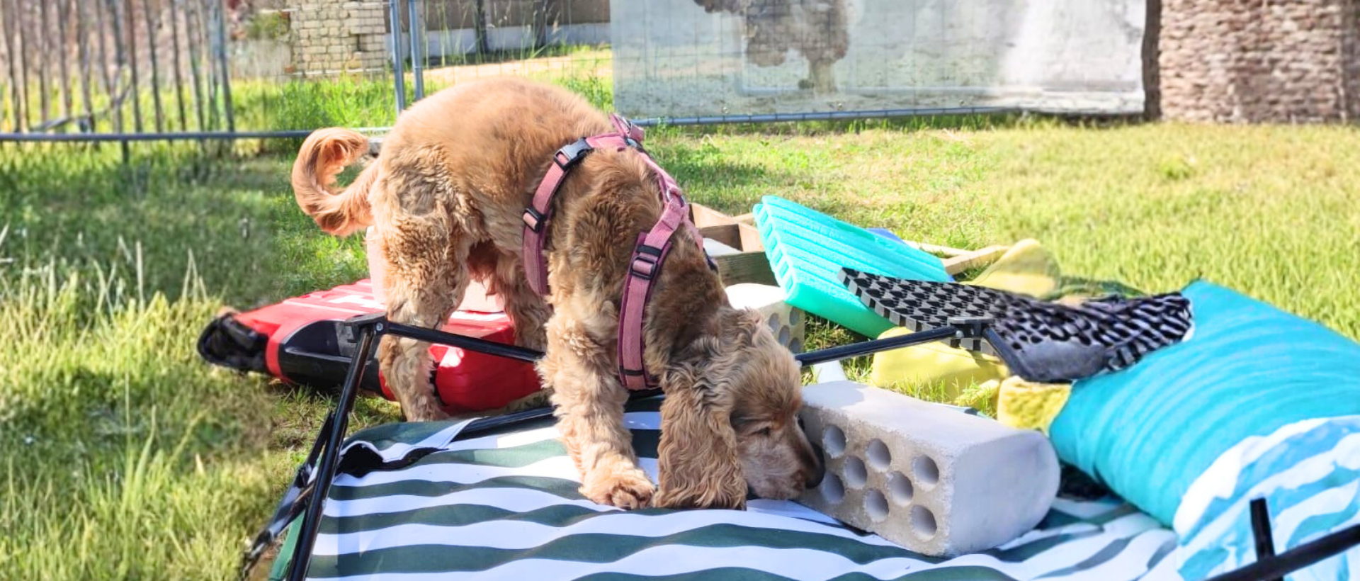 Kostenlose Trainingsressourcen Zielobjektsuche