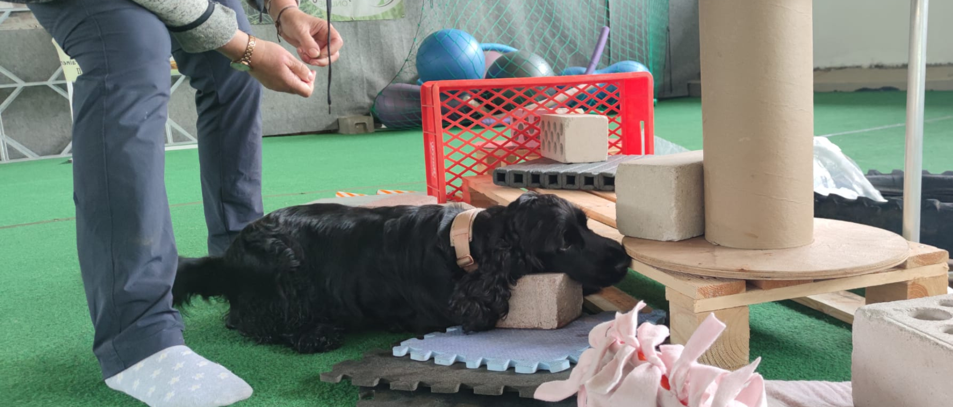 Kostenlose Trainingsressourcen Zielobjektsuche